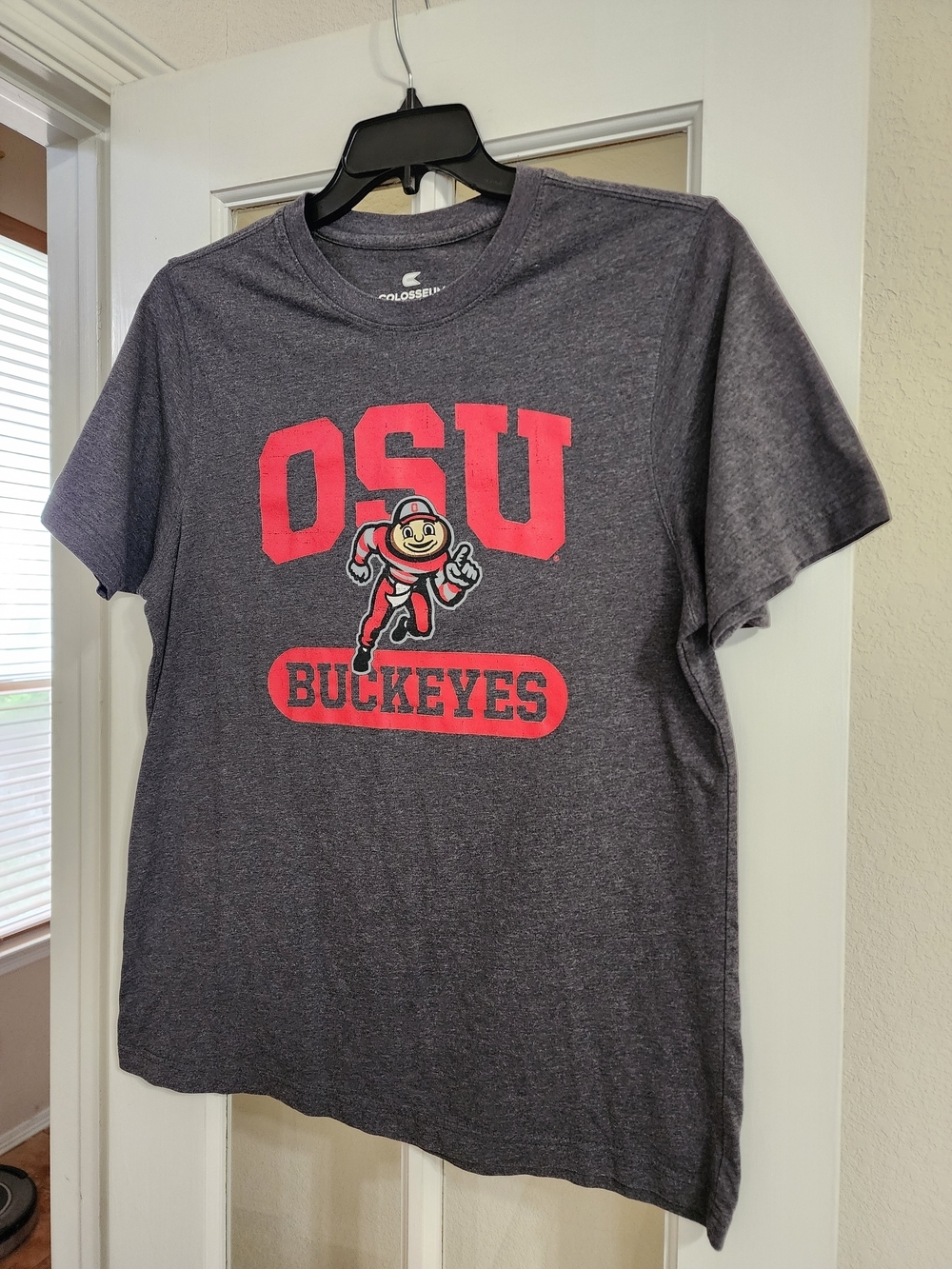 Ohio State Buckeyes OSU Colosseum Gray Graphic Tee Shirt Men’s L - Picture 2 of 10